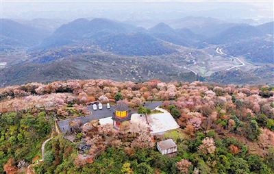 W020200422631772341656.png W020200422631772341656.png